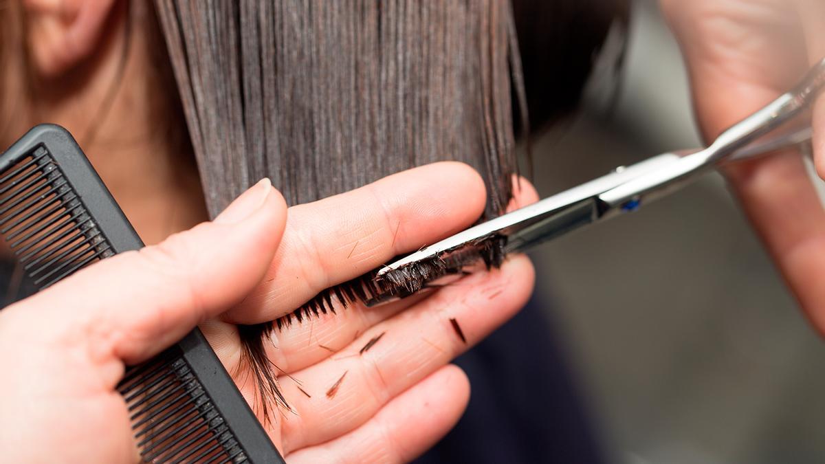 El  cómodo corte de pelo que se va a llevar en 2024: vale para pelos rizados, ondulados o lisos