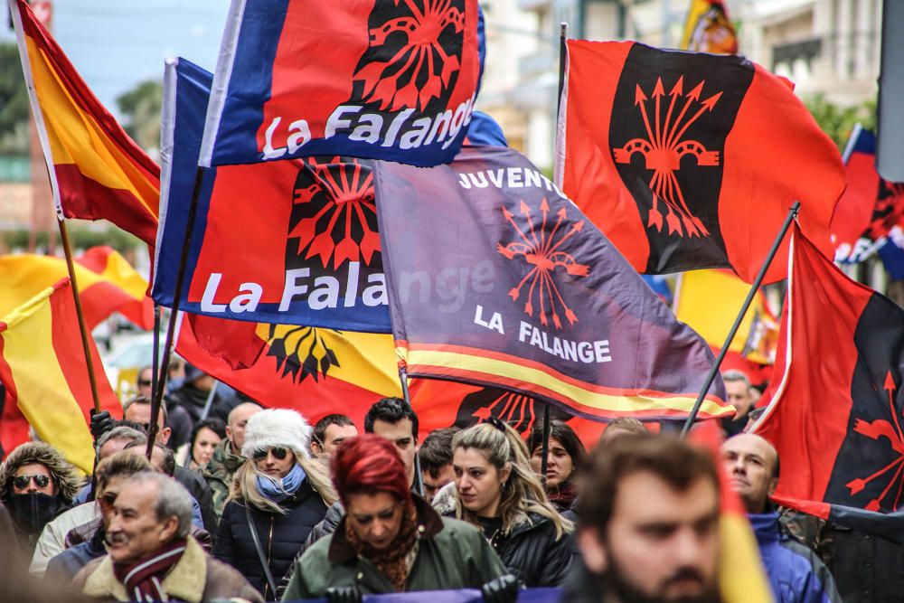 La Falange, en la manifestación en Callosa