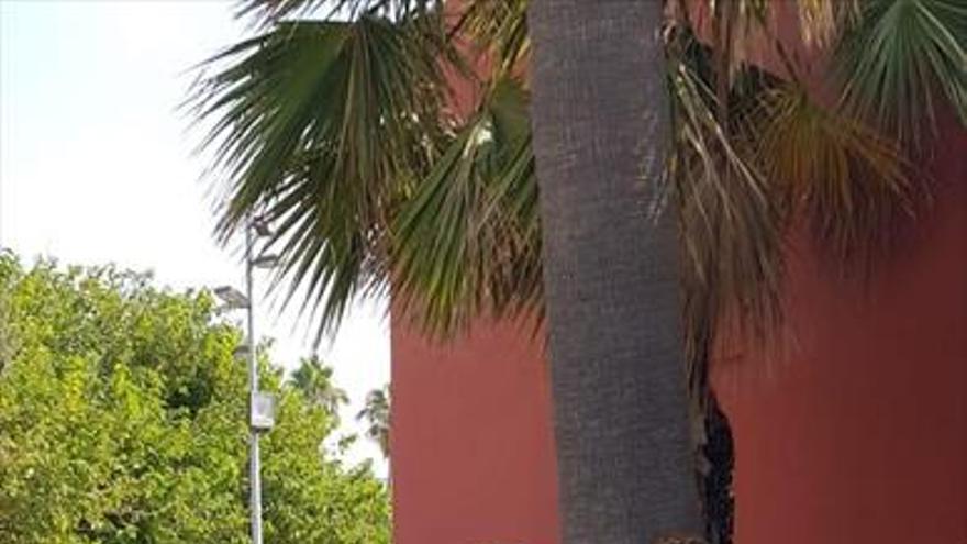 La boda de Jaime y Susana en Benalmádena