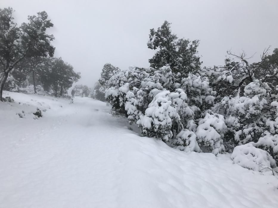 Vuelve a nevar en las montañas alicantinas