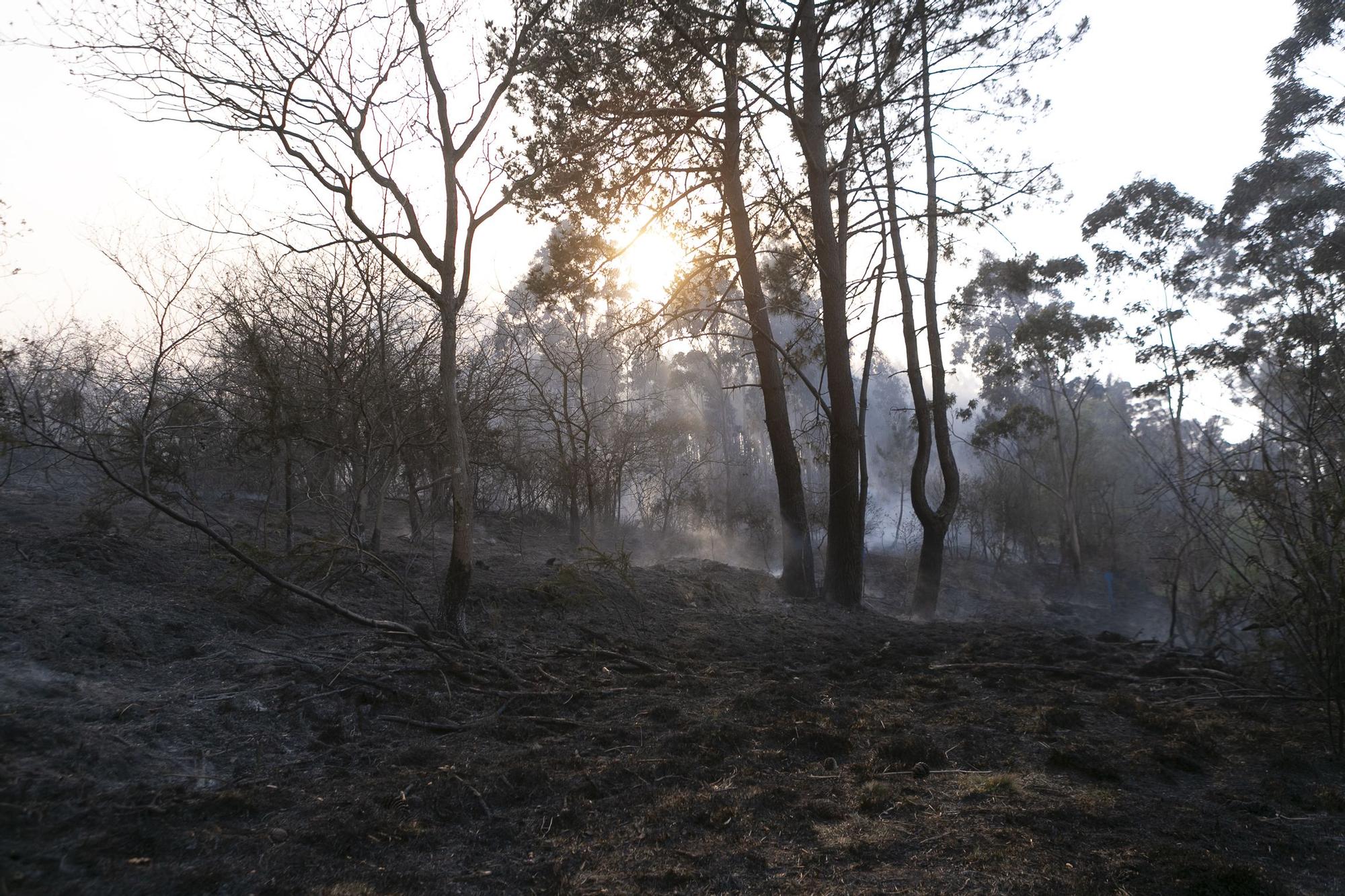 El fuego llega a la comarca de Avilés y se adentra en la Plata (Castrillón)