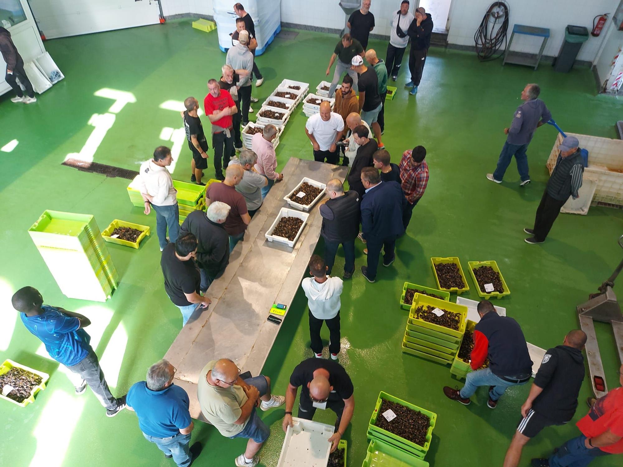 En imágenes: La primera subasta de percebe de la temporada en la rula de Puerto de Vega