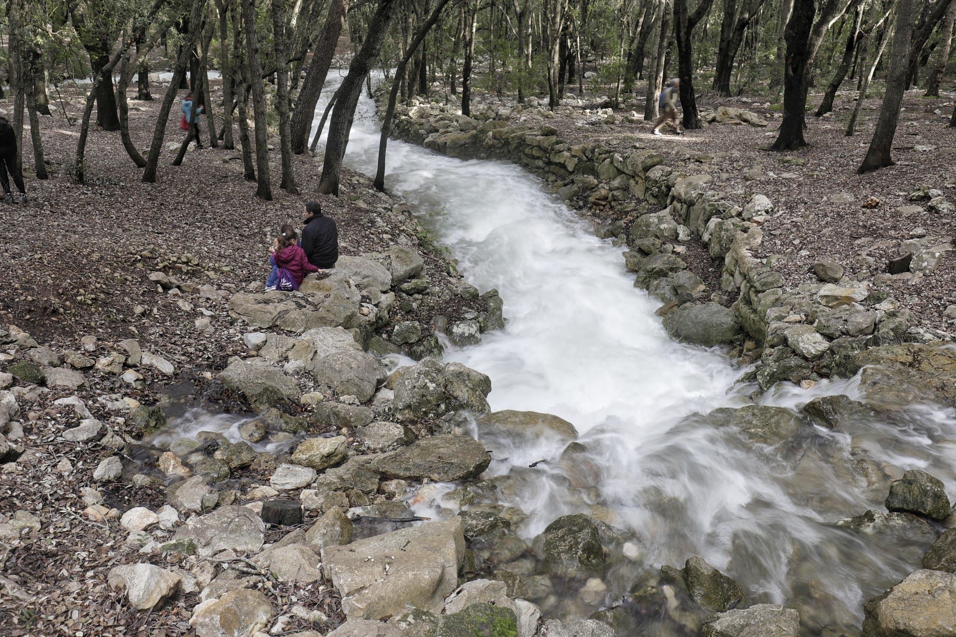 Ses Fonts Ufanes brotan tras las lluvias de la borrasca 'Isaack'