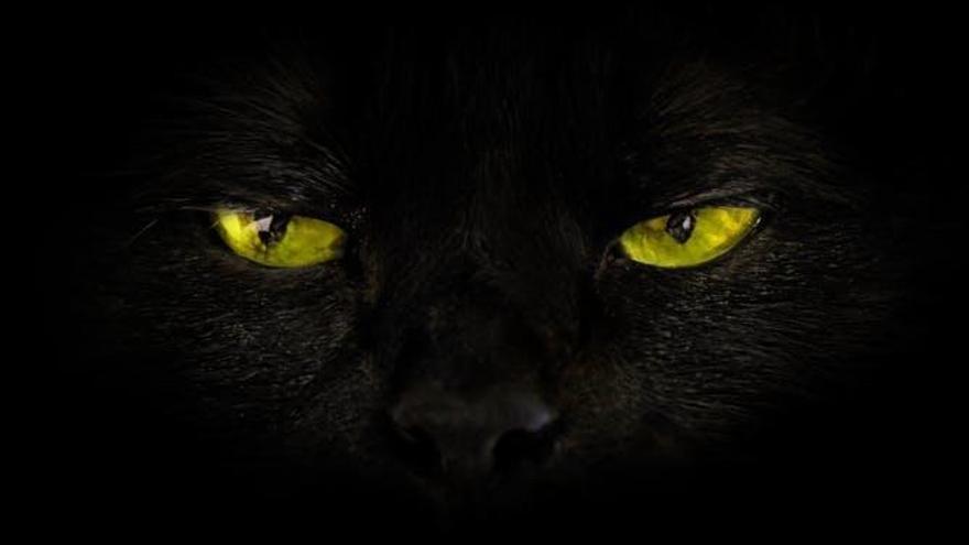 Viernes 13: Por qué somos supersticiosos (la explicación neurocientífica)