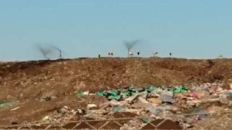La Junta investiga ilegalidades regar basuras en el vertedero