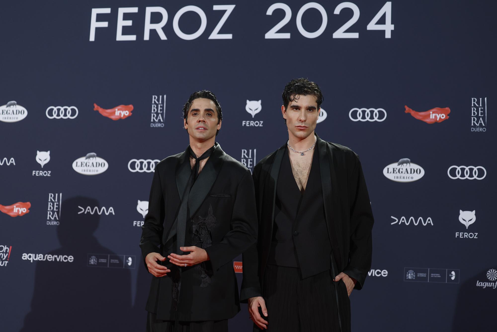 GALA DE ENTREGA DE LOS PREMIOS FEROZ