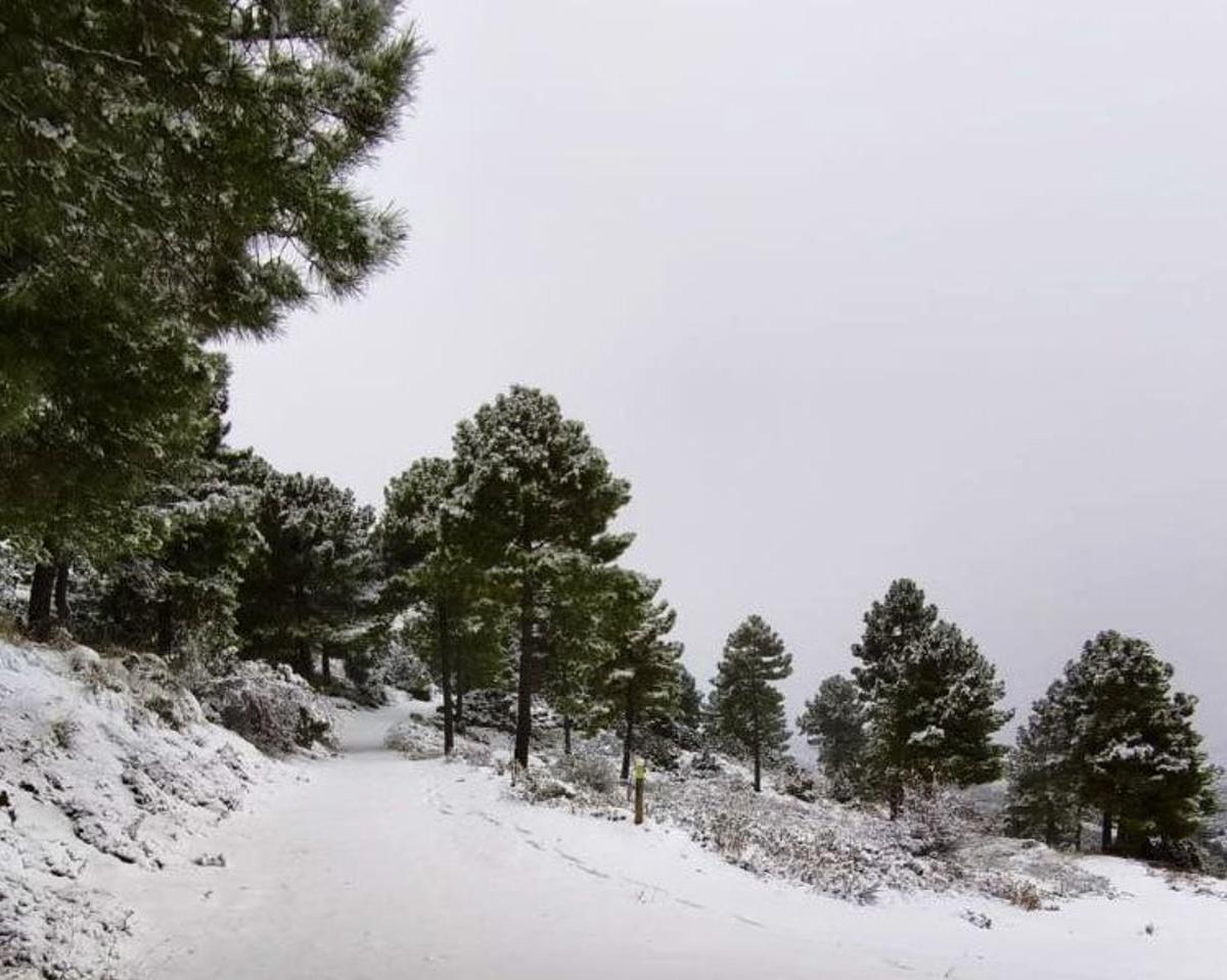Nieve en Sierra Espuña