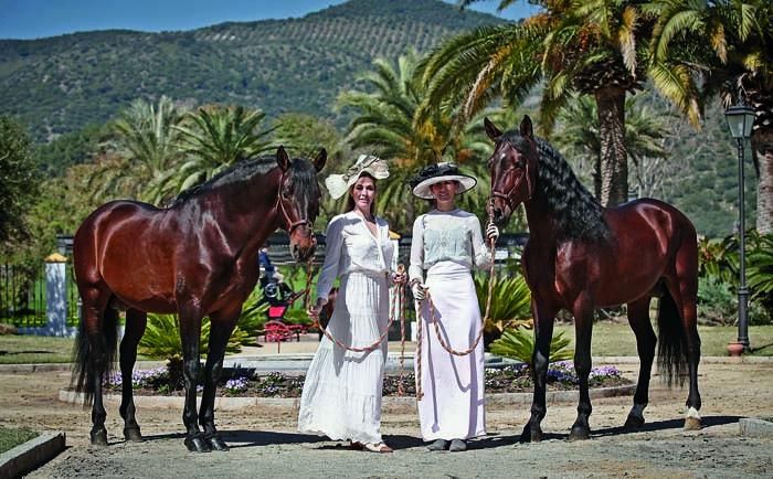 Caballo español, marcando el paso durante siglos