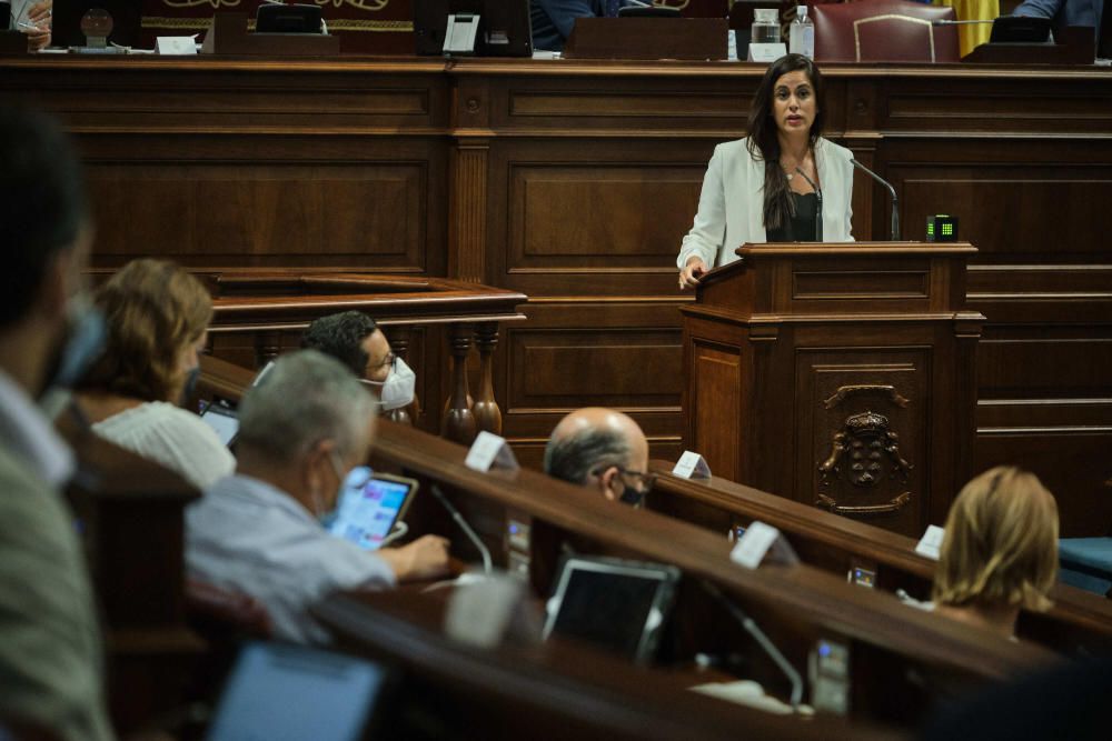 Pleno en el Parlamento de Canarias