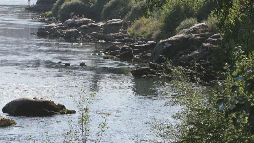 Una de las zonas por donde discurre el cauce del río Miño en el que se produjeron vertidos, objeto de sanción por la CHMS.  // Iñaki Osorio