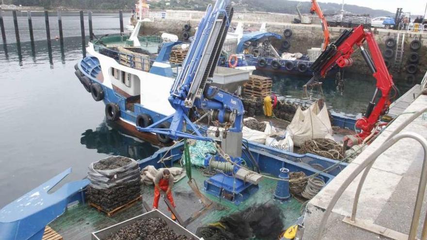 Descarga de mejillón, ayer, en el muelle de Aldán. // Santos Álvarez