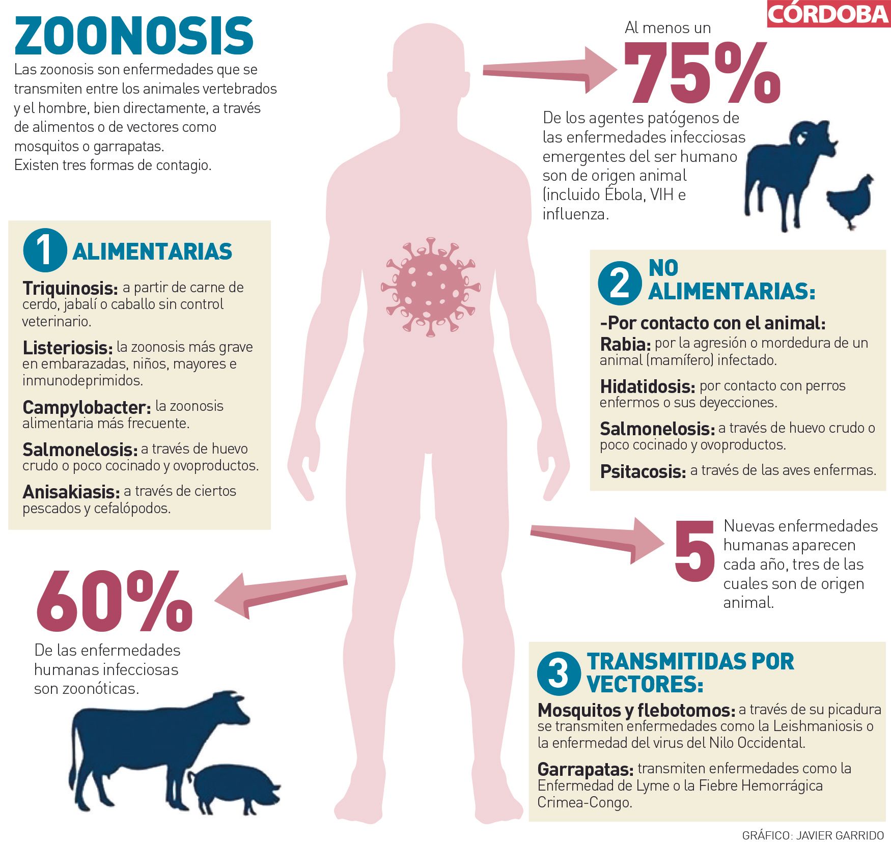 Gráfico informativo sobre la zoonosis.