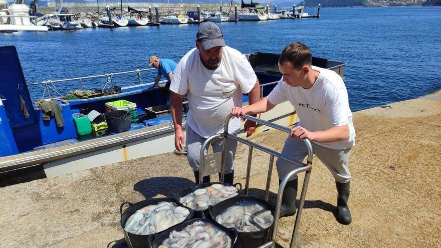 Los últimos días de trabajo de la flota de la nasa antes de la veda del pulpo