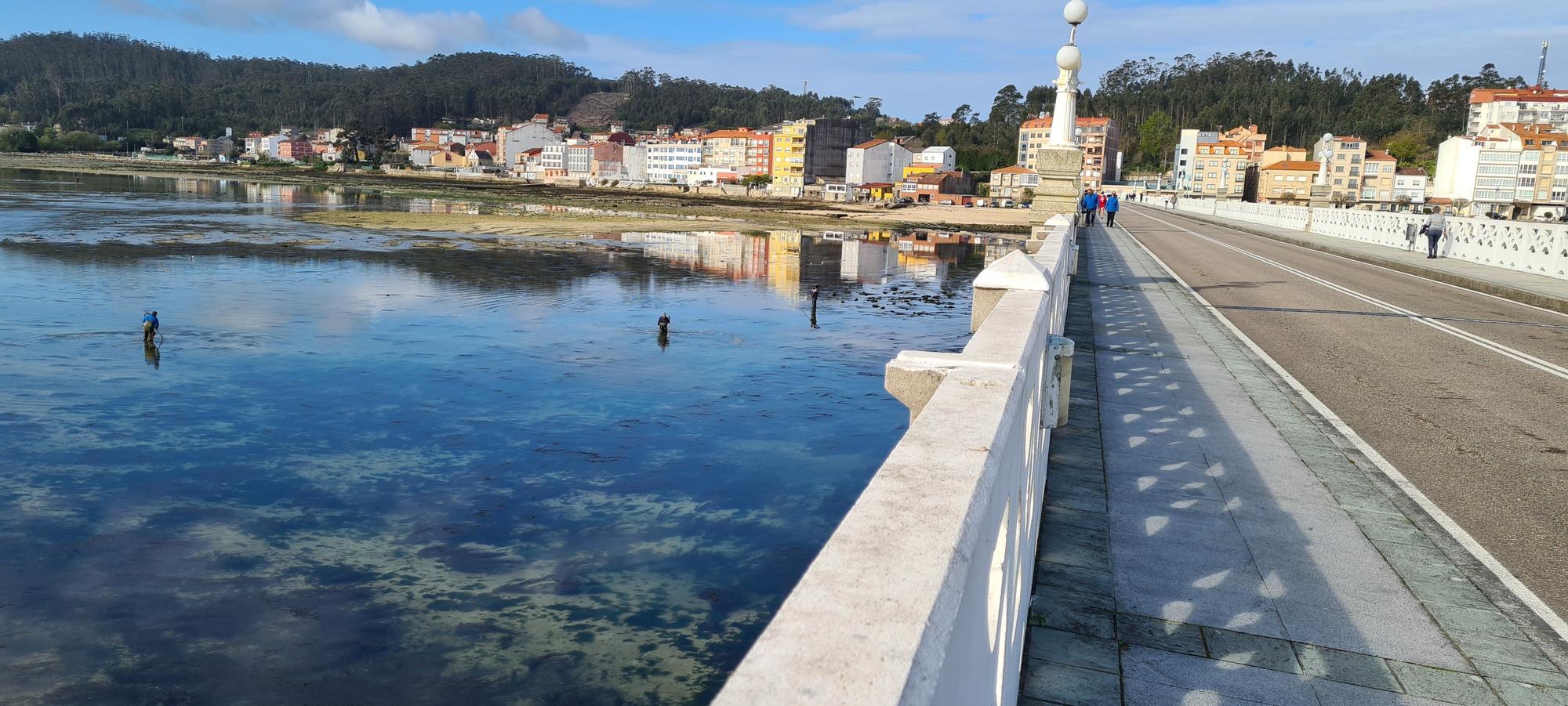 La pesca artesanal del chopo subsiste bajo el puente de A Toxa