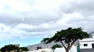 El Cabildo de La Palma licita la nueva residencia de mayores de Los Llanos de Aridane por 31 millones de euros