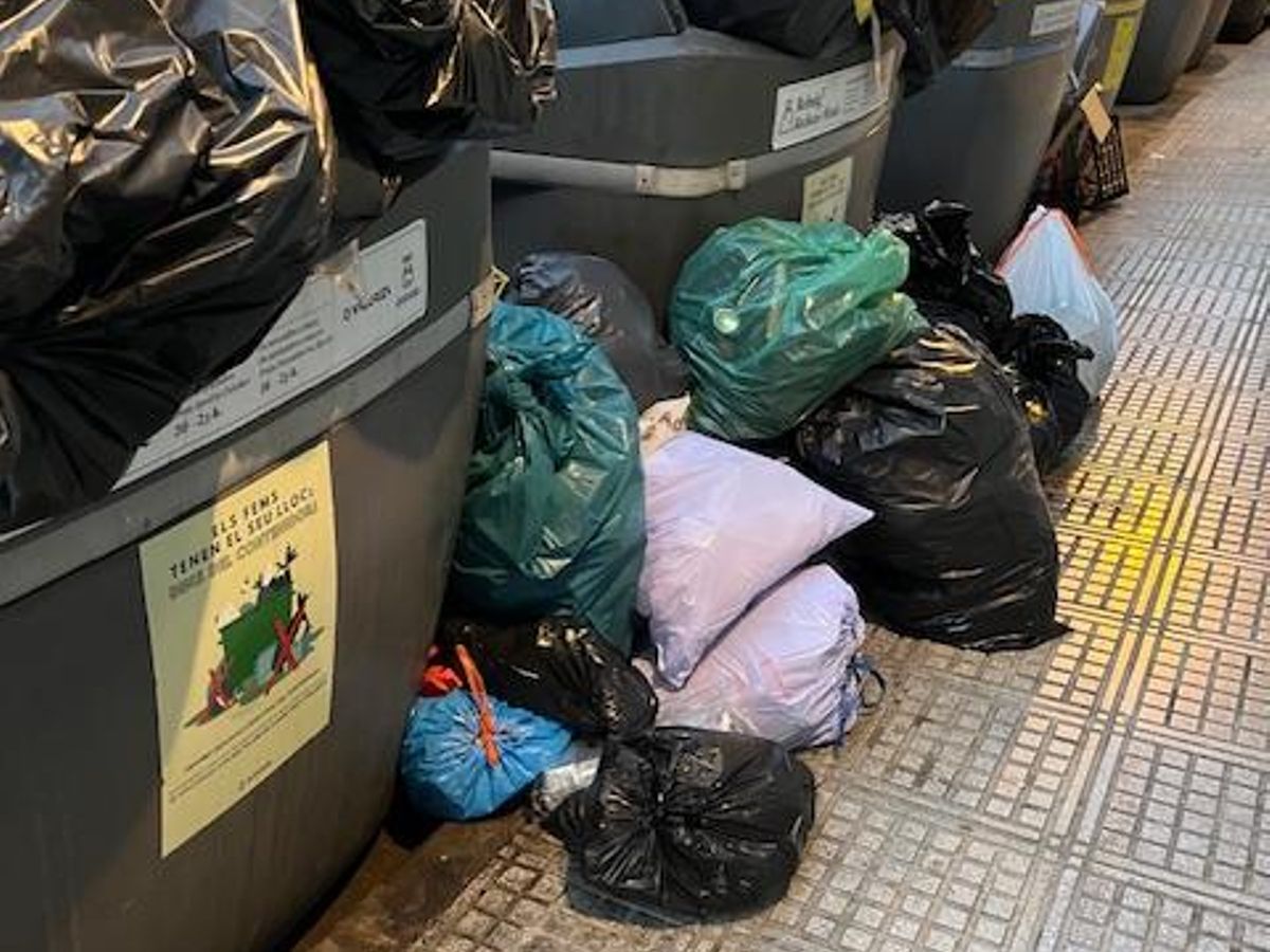 Basura y ratas en Ibiza: «La ciudad da asco»