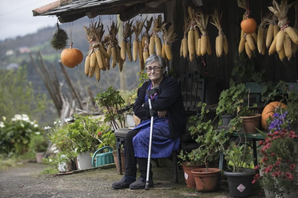 Los concejos del occidente de Asturias, considerados como los más saludables