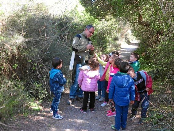 Albufera