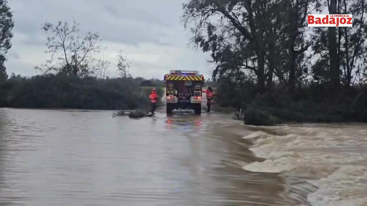 Video | Intento de rescate en Novelda
