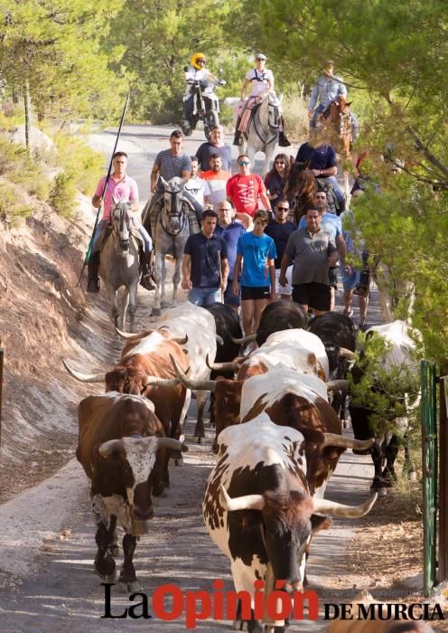 Vereda en Moratalla