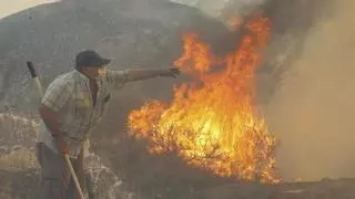España suma 180.000 hectáreas forestales afectadas y 38 grandes incendios en lo que va de año