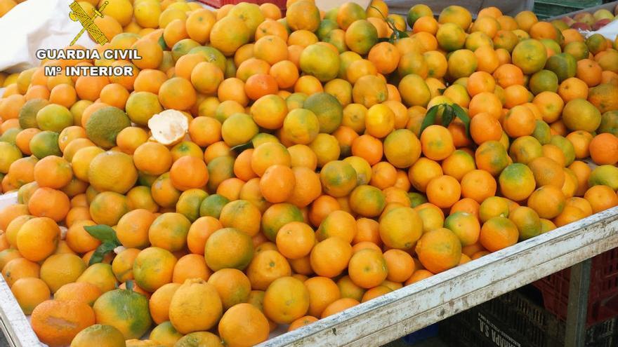 Detenidos por robar una tonelada y media de mandarinas