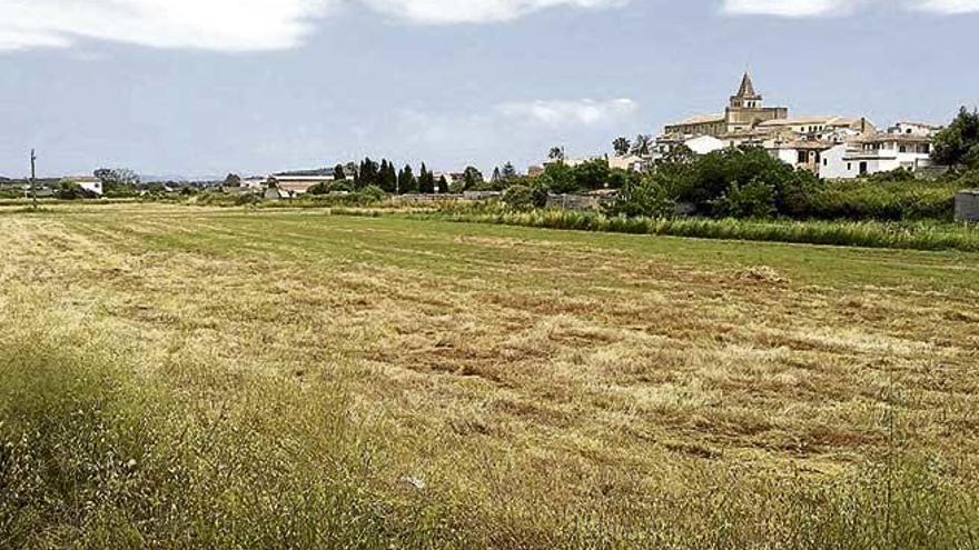 Zona de la localidad de Porreres objeto del nuevo vial previsto.