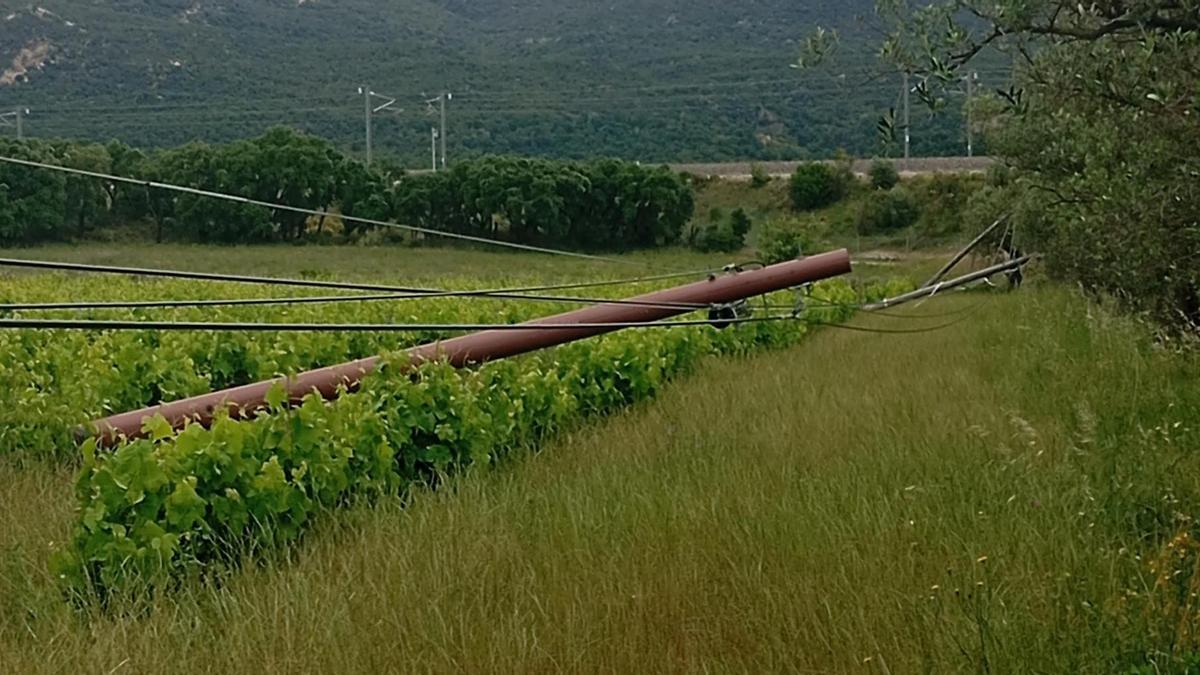Un dels pals de fibra caiguts a Agullana.