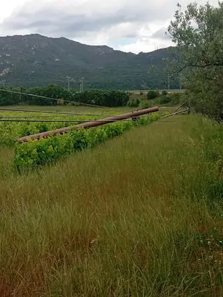 "Pals de fibra caiguts: ja falta menys perquè vagin per terra, i això no vol dir que estiguin soterrats..."