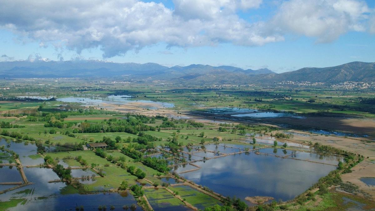 Aiguamolls de l’Empordà, parques naturales Roses