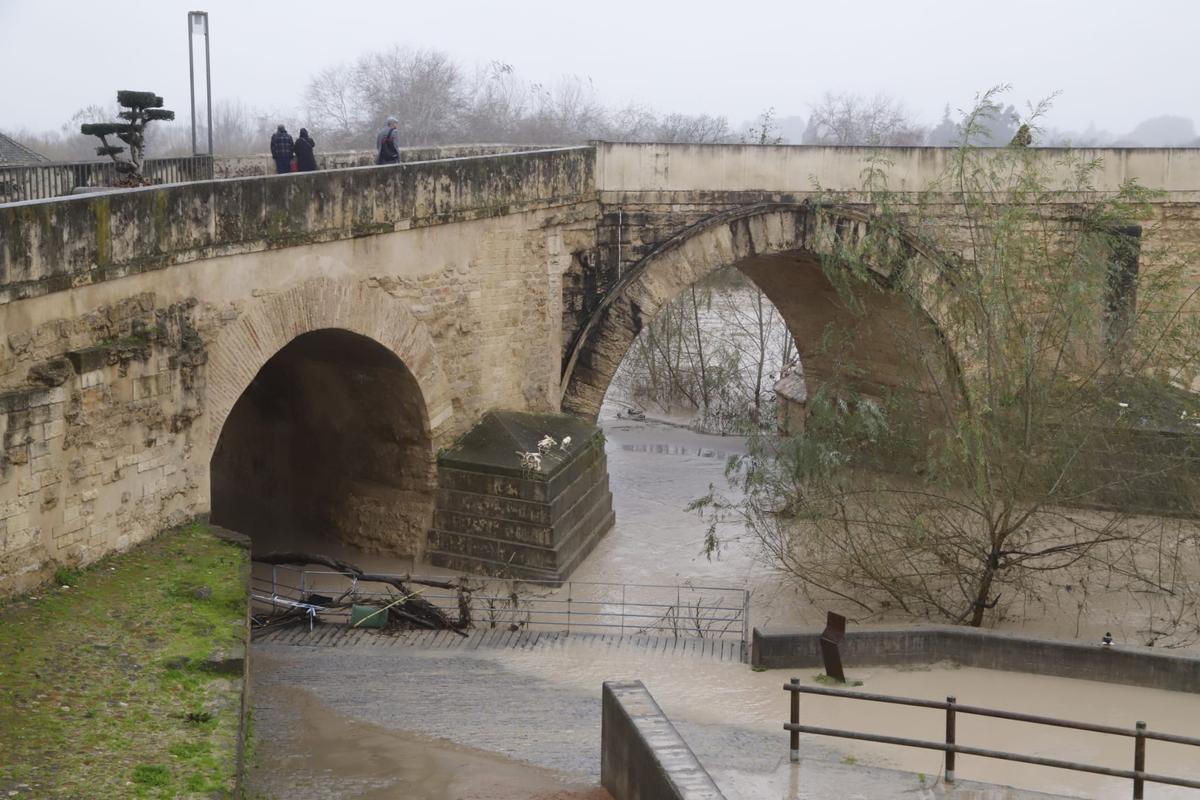 Desciende el nivel del Guadalquivir a su paso por Córdoba: las imágenes del río este martes