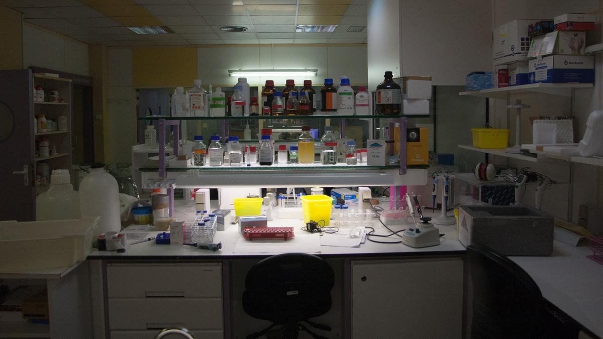 Laboratorio del Hospital de Bellvitge, en L'Hospitalet de Llobregat.