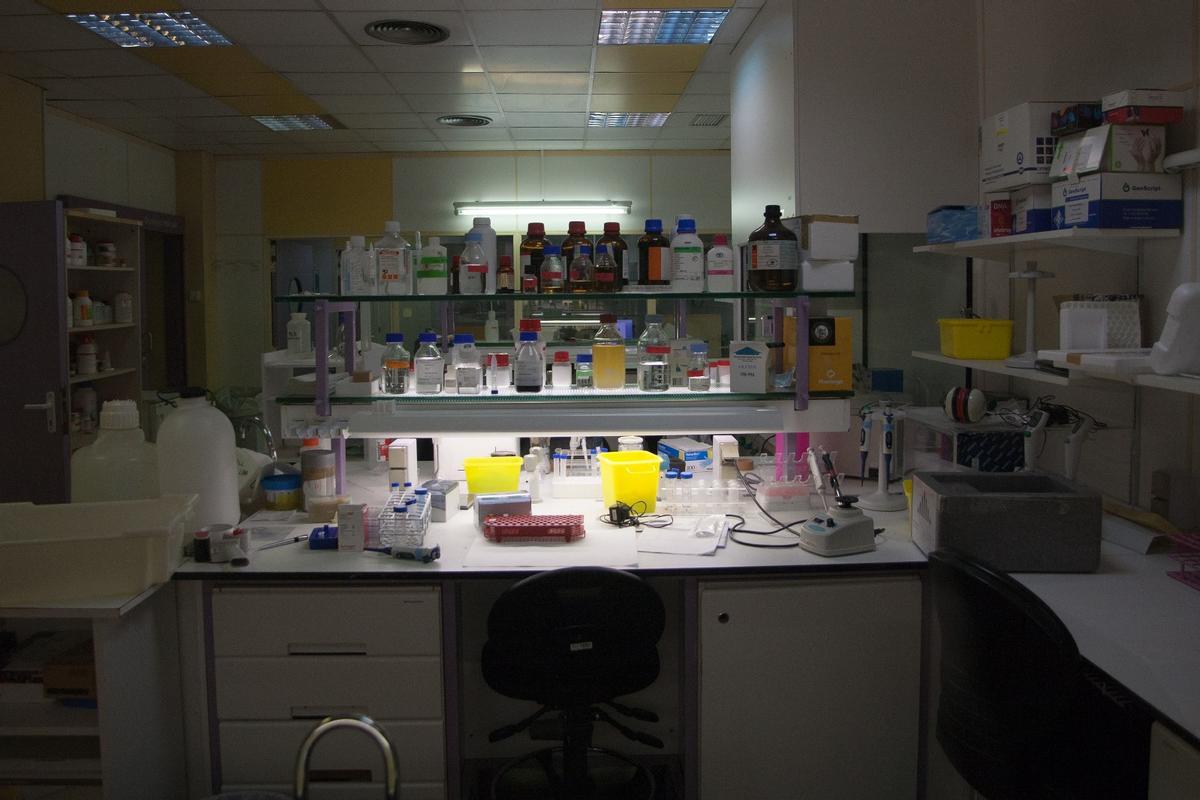 "Ja no mirem el microscopi"