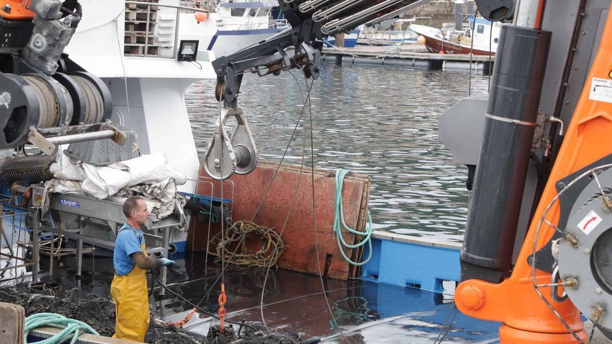 Descarga de mejill&oacute;n en el puerto de Bueu.