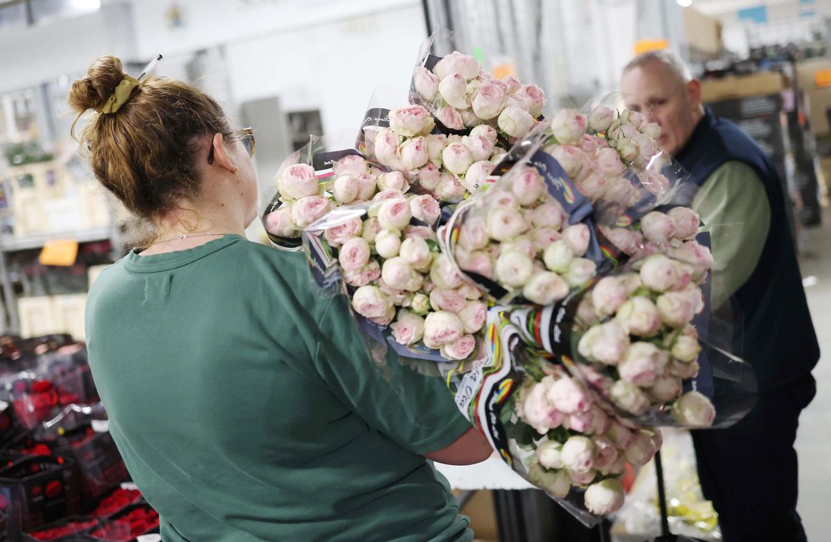 El mundo se prepara para celebrar San Valentín