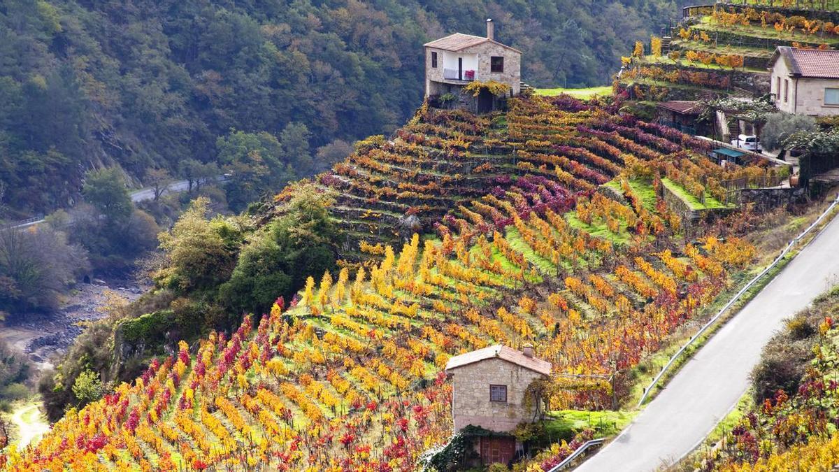 El plan favorito de la clase media española en octubre navega por los cañones de "la Toscana gallega"