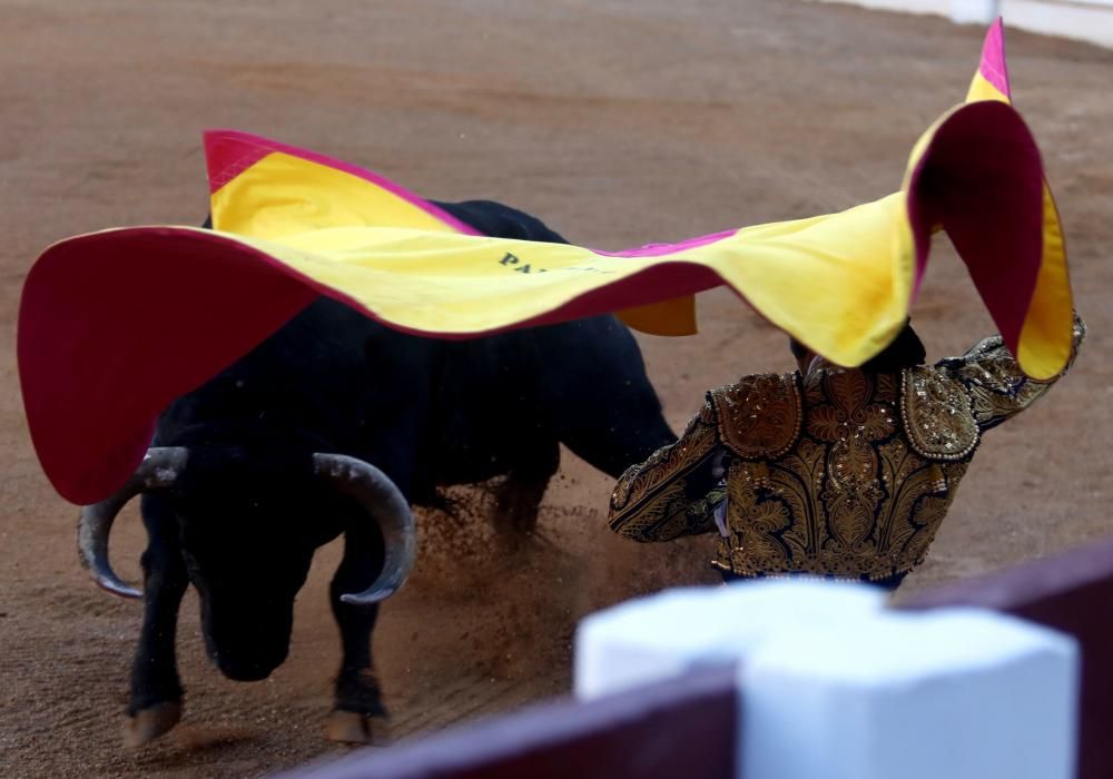 Corrida de toros en El Bibio