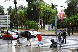 ¿Después de la tormenta llega la calma? Córdoba, abonada al paraguas: estas son las horas en las que lloverá hoy domingo