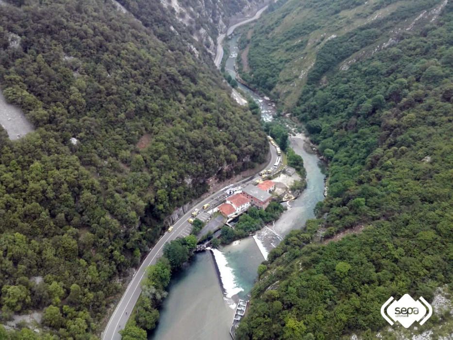 Accidente de un camión en Peñamellera