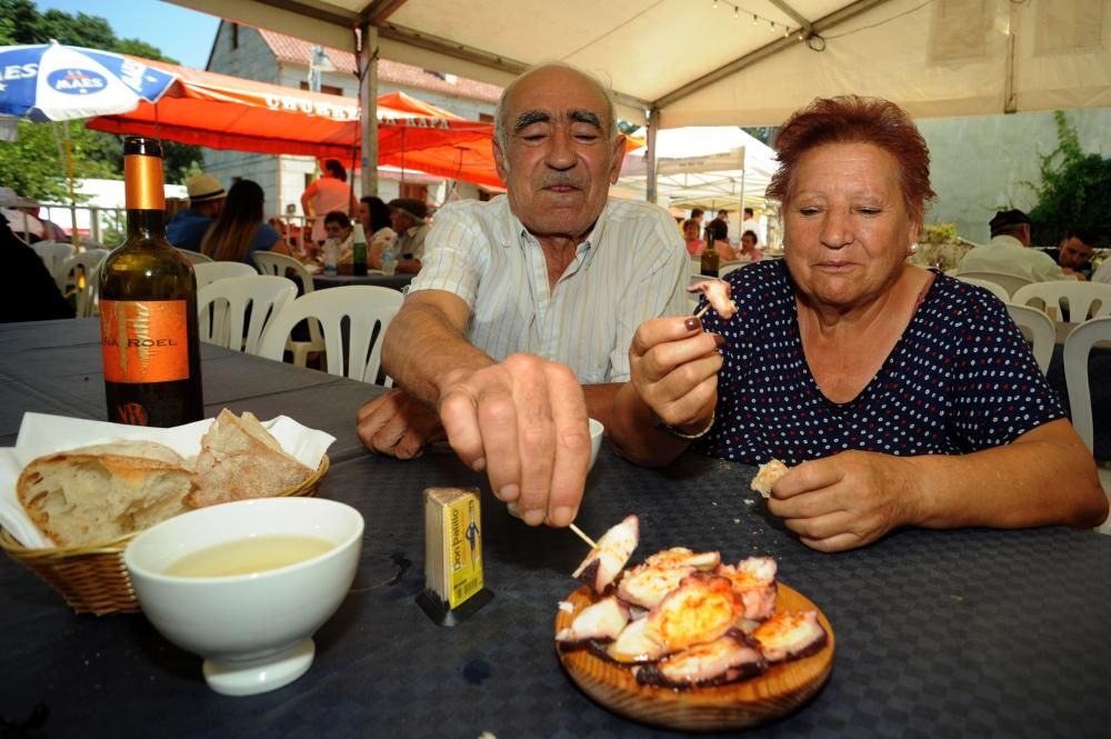 Pulpo y fe se fusionan en Santa Marta