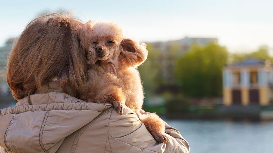 El motivo por el que no debes coger en brazos a tu perro (y menos si hay otros delante)