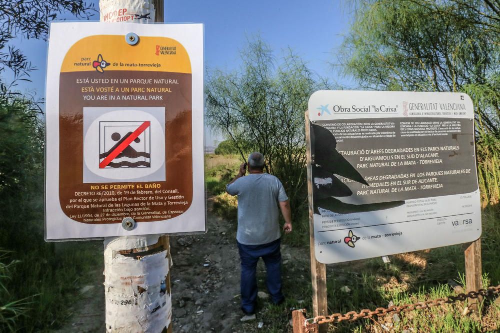 Guardia Civil y Policía cierran el paso a los bañistas en la laguna de Torrevieja. El personal del parque natural y agentes ambientales de la Generalitat informan sobre la prohibición de baño