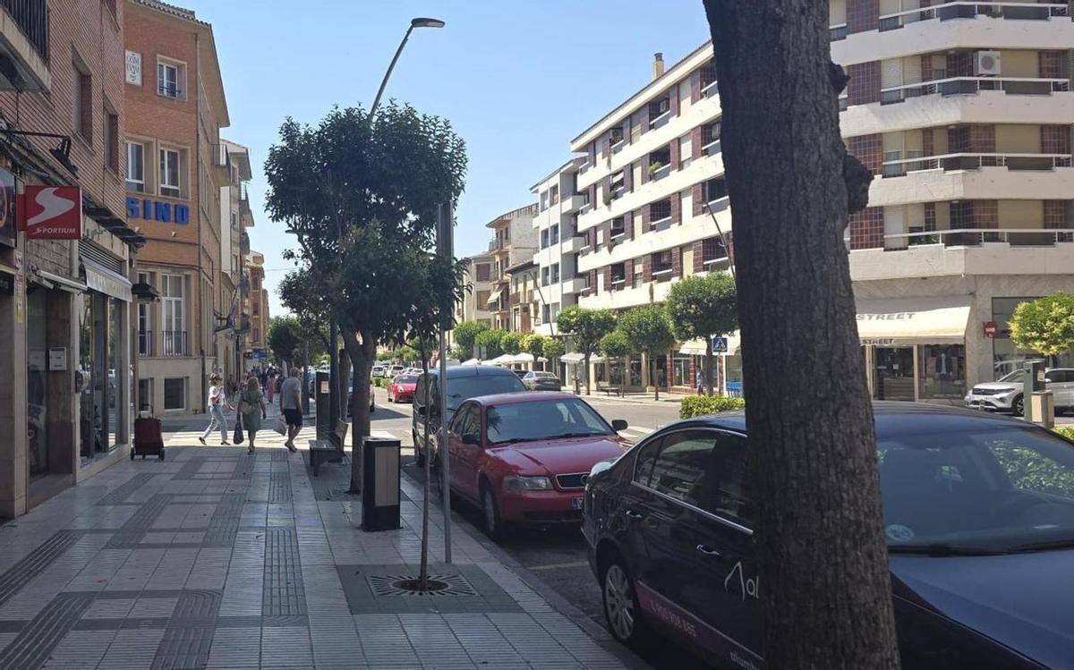 Han participado 60 establecimientos locales y se han agotado todos los bonos en  menos de una semana.  | SERVICIO ESPECIAL