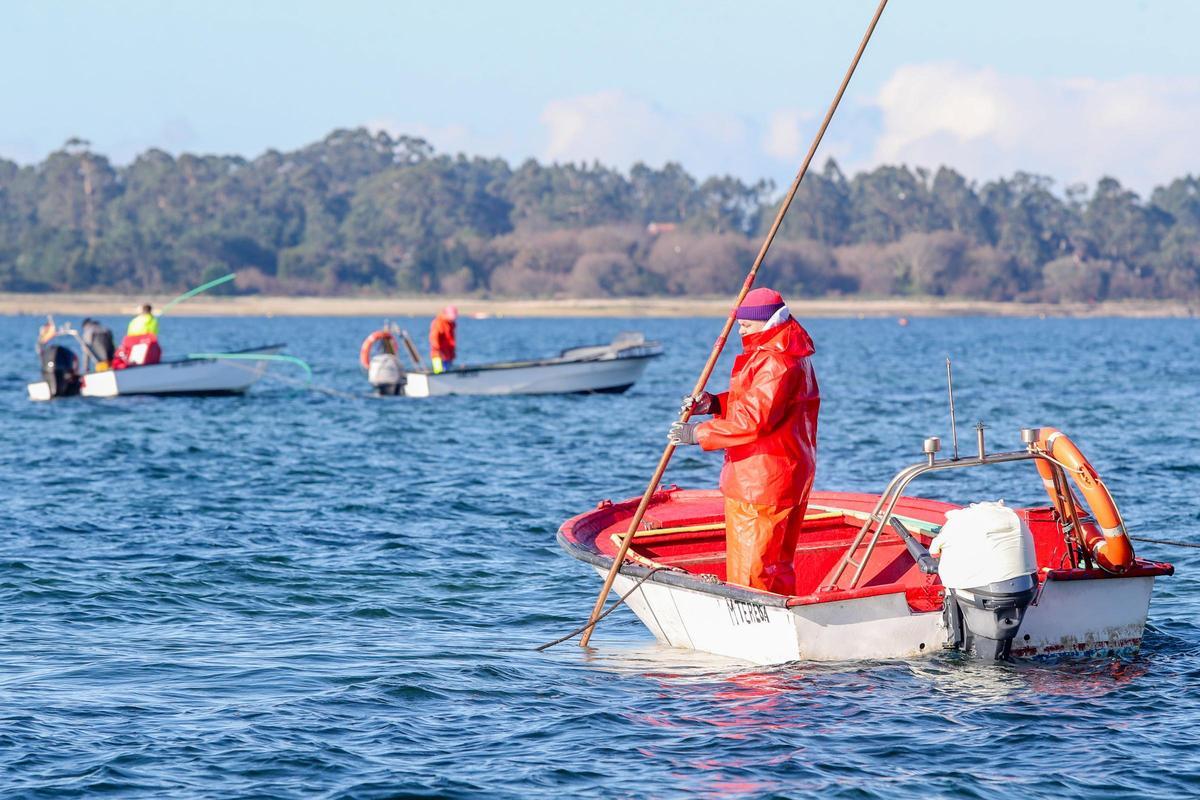 Una pasada jornada de libre marisqueo en O Bohído.