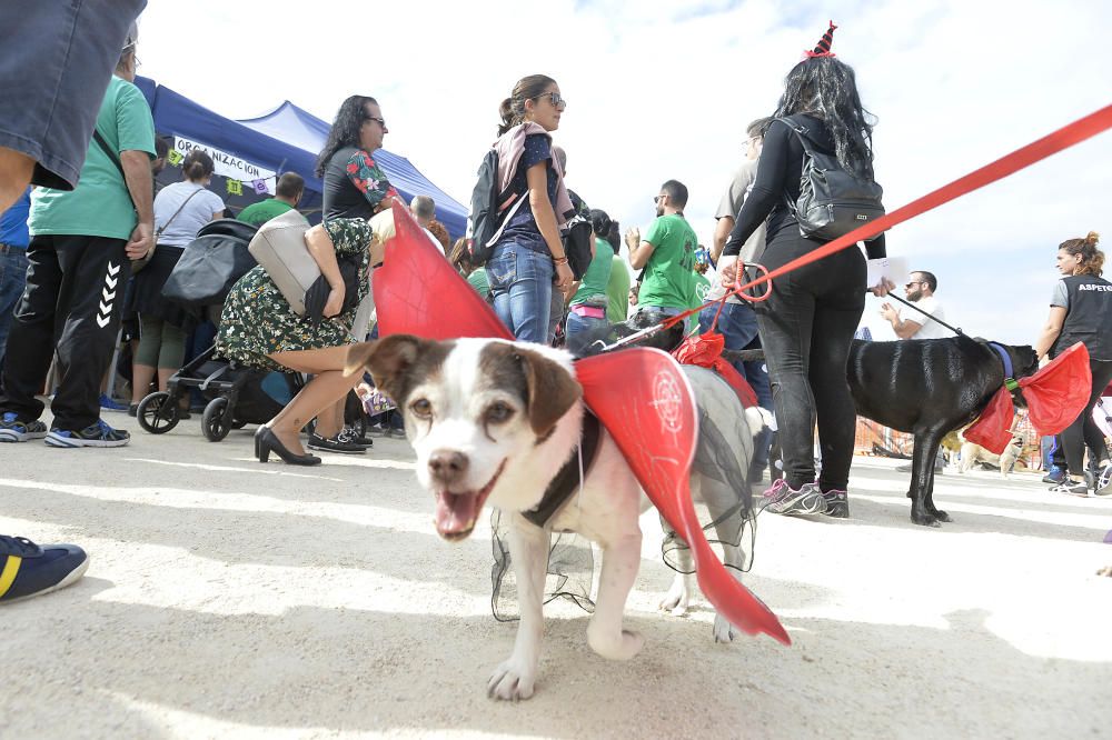 Halloween en el parque canino de Gran Alacant