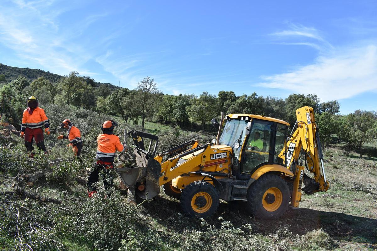 Trabajos de desbroce en la zona por donde irá el nuevo trazado de la N-232.