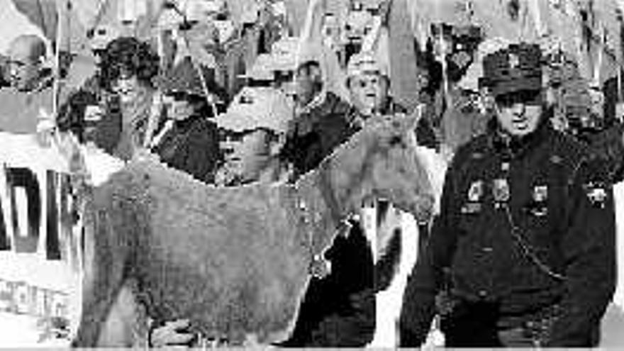 Detalle de la manifestación de ganaderos celebrada ayer en Madrid