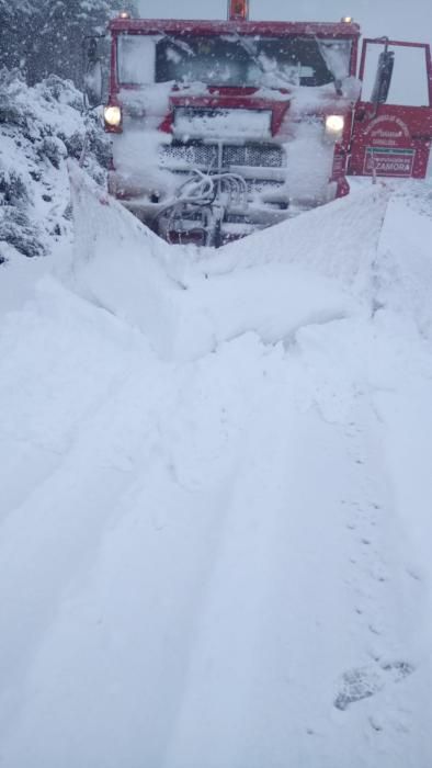 Efectos del temporal de nieve en Sanabria