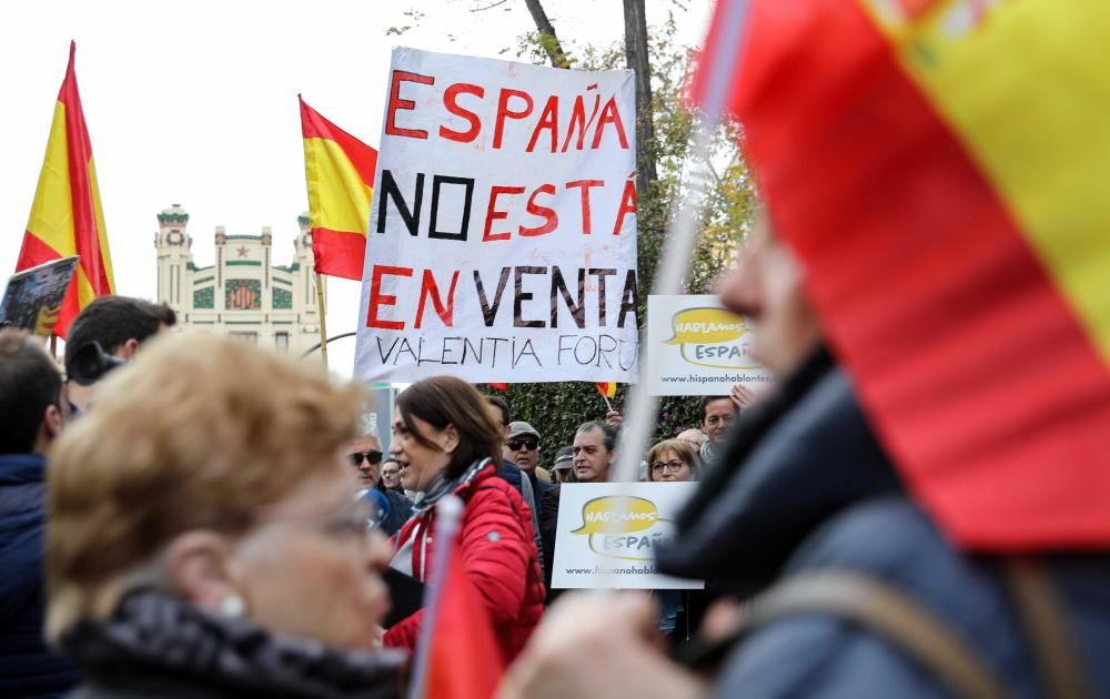 Manifestación en varias ciudades de la Comunitat Valenciana contra la Ley del Plurilingüismo