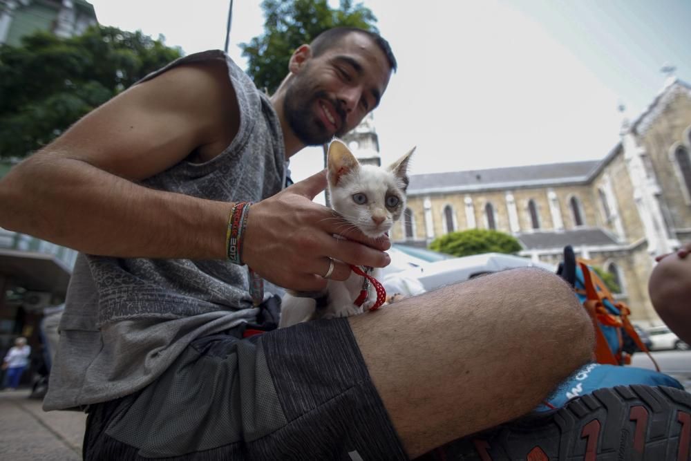 Peregrinos que salvaron a un gato en el Sella